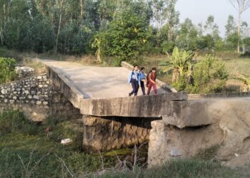 बाढीले भत्काएको झर्नाखोलाको पुल एक वर्षमा पनि बनेन, जनता जोखिममा