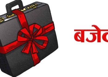 आज बजेट सार्वजनिक हुँदै
