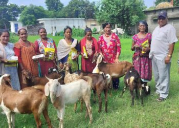 दोधारा चाँदनीमा किसानलाई व्यावसायी बनाउन उन्नत जातको बाख्रा बितरण