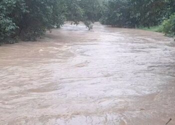 अविरल वर्षाले कञ्चनपुरमा घर डुबान, परिवार र पशुचौपाया विस्थापित