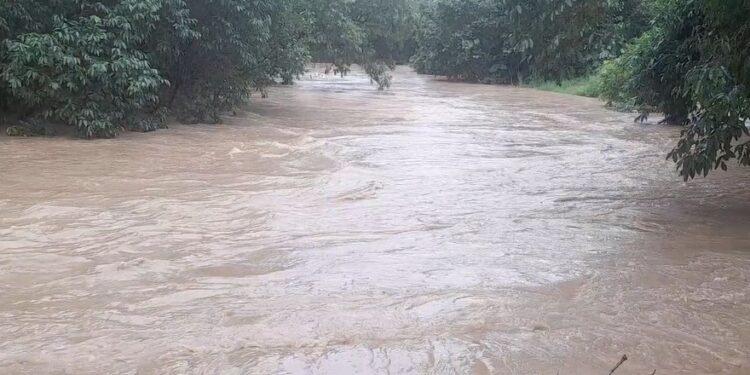 अविरल वर्षाले कञ्चनपुरमा घर डुबान, परिवार र पशुचौपाया विस्थापित