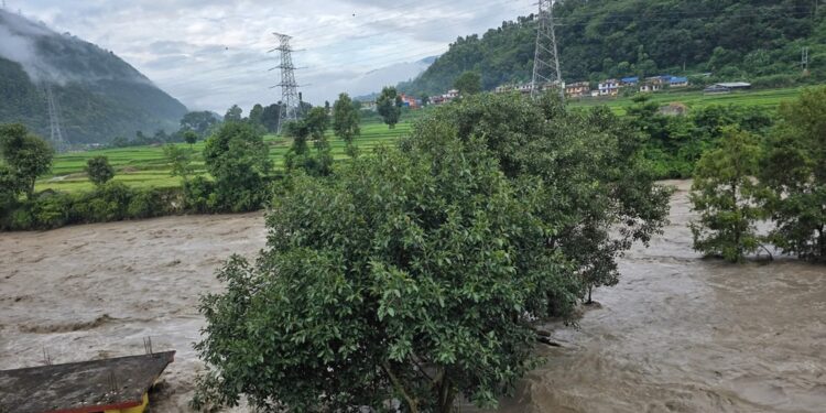 भोटेकोशीमा आकस्मिक बाढी, तटीय क्षेत्रका बासिन्दालाई सतर्क रहन आग्रह