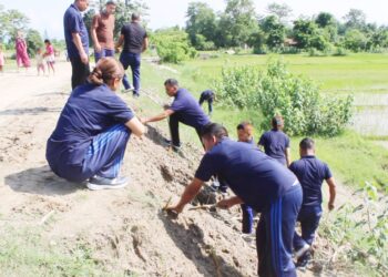 पटरा खल्ला पक्की तटबन्ध जोगाउन भेटिभरको बिरुवा रोपियो