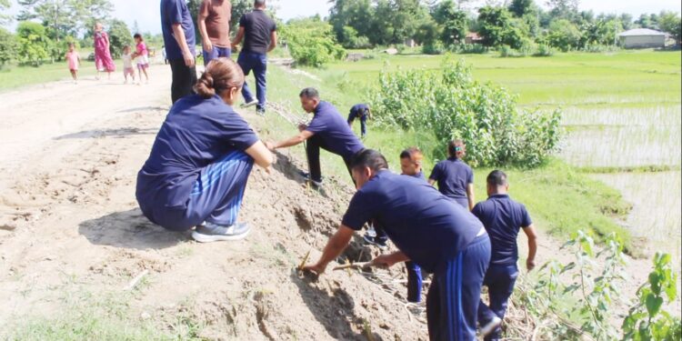 पटरा खल्ला पक्की तटबन्ध जोगाउन भेटिभरको बिरुवा रोपियो