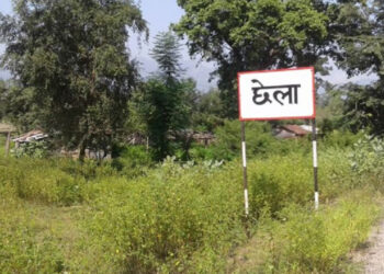 दैजी छेला औद्योगिक क्षेत्र अगाडि बढ्न निर्णायक मोडमा