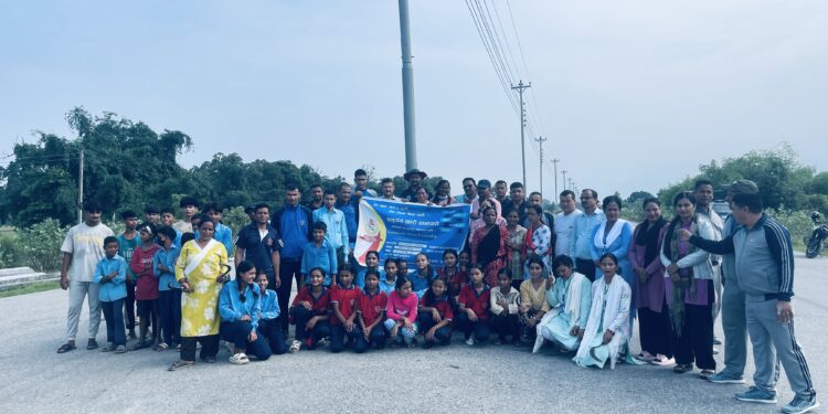 भीमदत्त-११ मा छ लेन सडकमा सरसफाइ अभियानलाई निरन्तरता, बिरुवा संरक्षणमा जोड