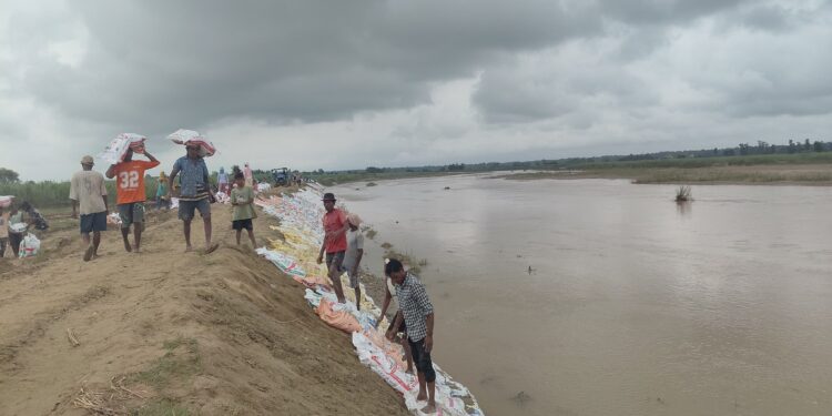 दोदा नदी किनारमा अस्थायी तटबन्ध निर्माण गरिँदै, बाढीको जोखिम न्यूनीकरणतर्फ स्थानीयको सक्रियता