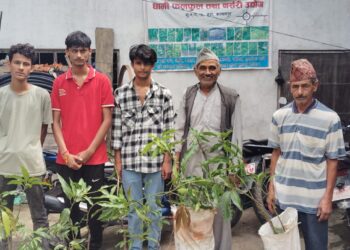 शुक्लाफाँटाका कृषकहरूलाई फलका विरूवा सहयोग, हरियालीसँगै आयआर्जनको आशा