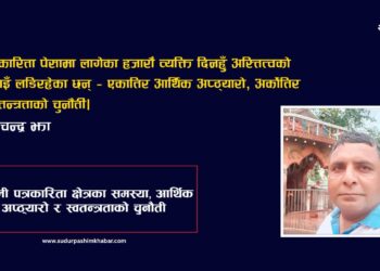 नेपाली पत्रकारिता क्षेत्रका समस्या, आर्थिक अप्ठ्यारो र स्वतन्त्रताको चुनौती