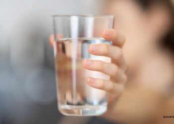 मिर्गौला स्वस्थ राख्न कति पानी पिउनुपर्छ ?