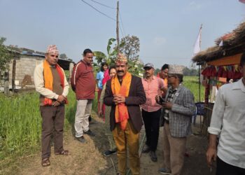 घरदैलो अभियानमा व्यस्त नेकपा एमालेका नेता सिंह