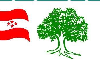 ६ निर्वाचन क्षेत्रमा नेपाली कांग्रेसका उम्मेदवार विजयी