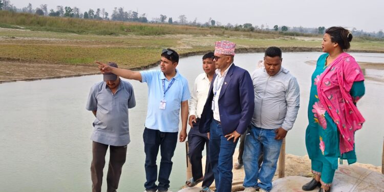भजनीको झलझलियामा जैविक तटबन्धको अनुमगन: ४३५ घरधुरी सुरक्षित हुने आशा