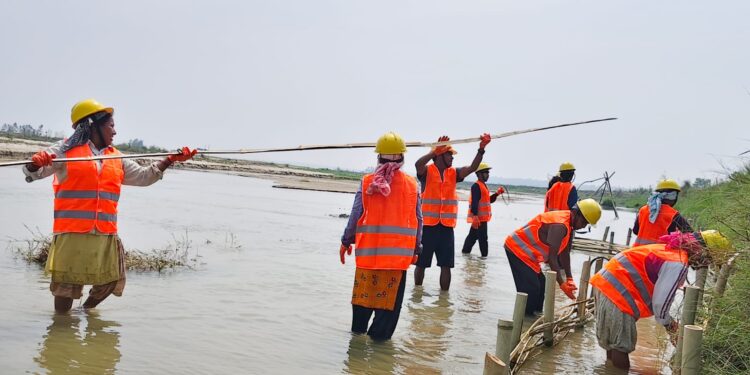 कञ्चनपुर र कैलालीका तीन ठाउँमा जैविक तटबन्ध निर्माण कार्य तीव्र
