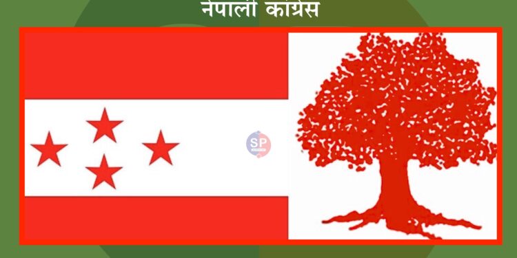 नेपाली कांग्रेसका उम्मेदवार ६ निर्वाचन क्षेत्रमा विजयी