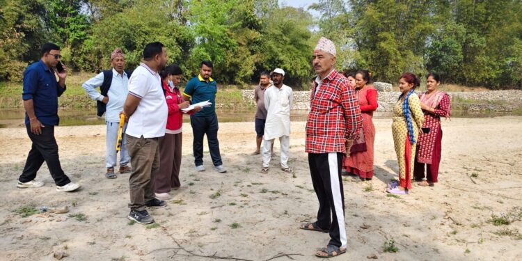 कञ्चनपुरको कृष्णपुरमा जैविक तटबन्ध निर्माण कार्य तीव्र, बाढीको जोखिम कम हुने भएपछि स्थानीय हर्षित
