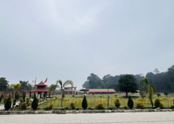 नेपालमै नयाँ अनुभव: बारासिङ्गे बियर गार्डेनसहितको टाईगर फरेष्ट होटल प्राली