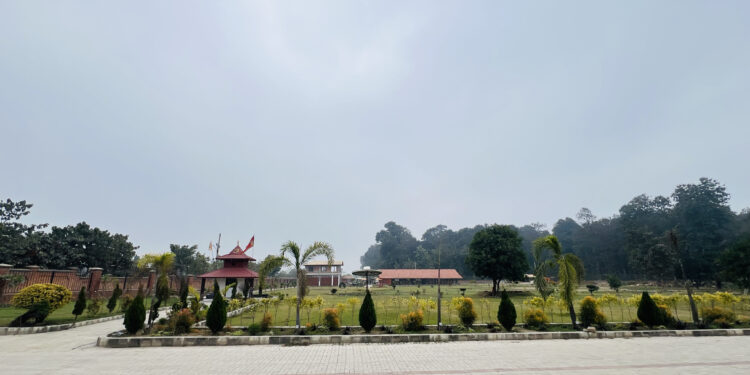 नेपालमै नयाँ अनुभव: बारासिङ्गे बियर गार्डेनसहितको टाईगर फरेष्ट होटल प्राली