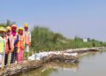 पुनर्वासको परासनमा जैविक तटबन्ध निर्माण कार्य तीव्र, मनसुन अघि नै सक्ने तयारी