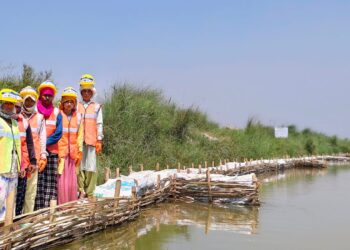 पुनर्वासको परासनमा जैविक तटबन्ध निर्माण कार्य तीव्र, मनसुन अघि नै सक्ने तयारी