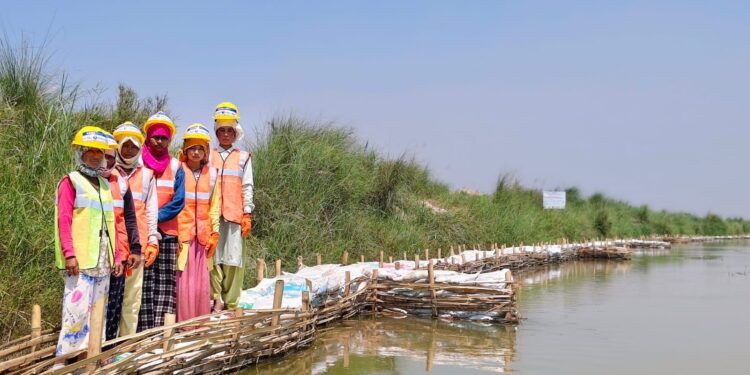 पुनर्वासको परासनमा जैविक तटबन्ध निर्माण कार्य तीव्र, मनसुन अघि नै सक्ने तयारी