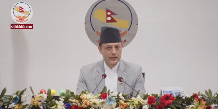 प्रतिनिधि सभा: १० वटा विषयगत समिति गठन