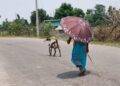 सुदूरपश्चिमका तराई भू-भागमा आज पनि तातो लहर, पहाडी क्षेत्रमा वर्षाको सम्भावना