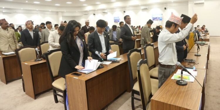 शहीदको सम्झनामा ५ मिनेट मौन, प्रतिनिधिसभा बैठक स्थगित