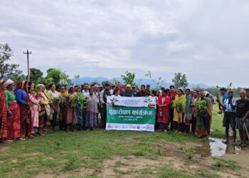 कञ्चनपुरको कृष्णपुर नगरपालिका वडा नम्बर–२ मा बगर संरक्षण गर्न वृक्षारोपण