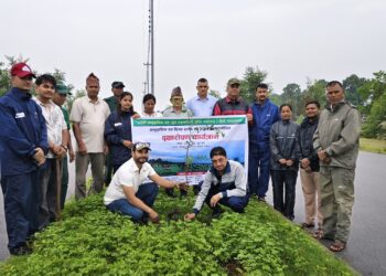 कञ्चनपुरमा सामुदायिक वन दिवसमा वृक्षारोपण