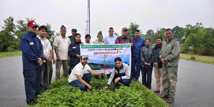 कञ्चनपुरमा सामुदायिक वन दिवसमा वृक्षारोपण