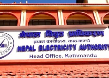 विद्युत् प्राधिकरणको नाफा ५८ प्रतिशतले घट्यो
