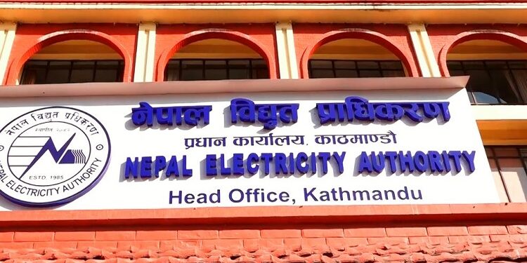 विद्युत् प्राधिकरणको नाफा ५८ प्रतिशतले घट्यो