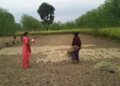 महाकाली तटीय क्षेत्रमा विपद् पूर्वतयारी तीव्र