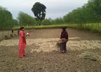 महाकाली तटीय क्षेत्रमा विपद् पूर्वतयारी तीव्र