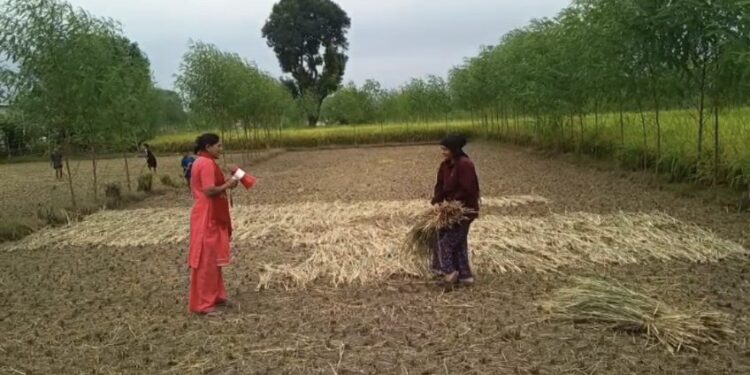 महाकाली तटीय क्षेत्रमा विपद् पूर्वतयारी तीव्र