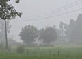 भारी वर्षाको सम्भावनासँगै कञ्चनपुरमा कस्तो छ पूर्वतयारी ?
