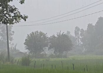 भारी वर्षाको सम्भावनासँगै कञ्चनपुरमा कस्तो छ पूर्वतयारी ?
