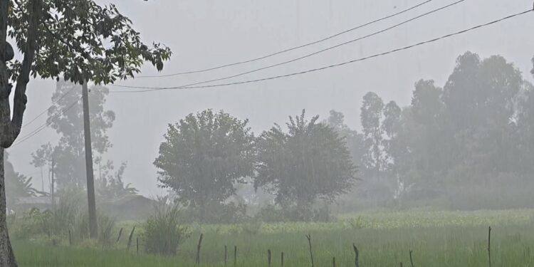 भारी वर्षाको सम्भावनासँगै कञ्चनपुरमा कस्तो छ पूर्वतयारी ?