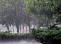 देशभर वर्षा जारी, आजदेखि झन् बढ्ने मौसमविद्को पूर्वानुमान