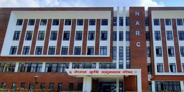 ठूलो वर्षाको सम्भावना, कृषिबाली जोगाउन किसानलाई पूर्वतयारी गर्न आग्रह