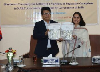 भारतबाट उखुका चार उन्नत जात नेपालमा भित्र्याइयो