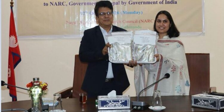 भारतबाट उखुका चार उन्नत जात नेपालमा भित्र्याइयो