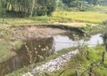 झर्नाखोलाको कटानले खेतीयोग्य जमिन जोखिममा