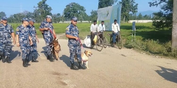 तालिमप्राप्त कुकुरले पत्ता लगायो मुखभित्र लुकाइएको ब्राउनसुगर